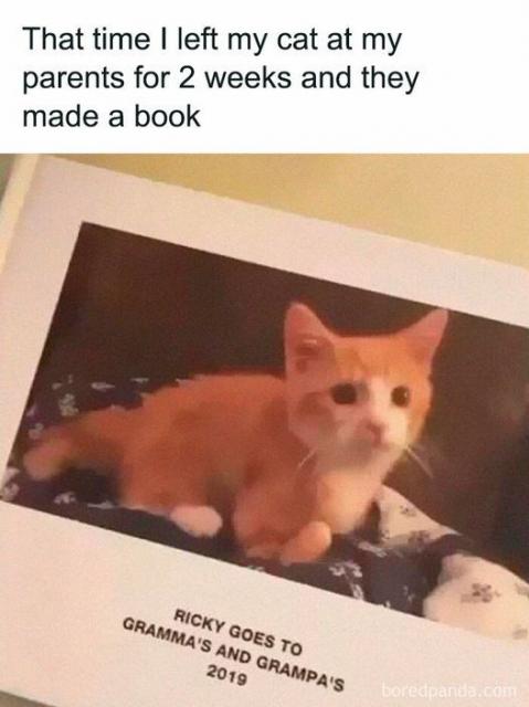 Kattenboekje